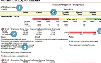 AACE Variance and Analysis Reporting