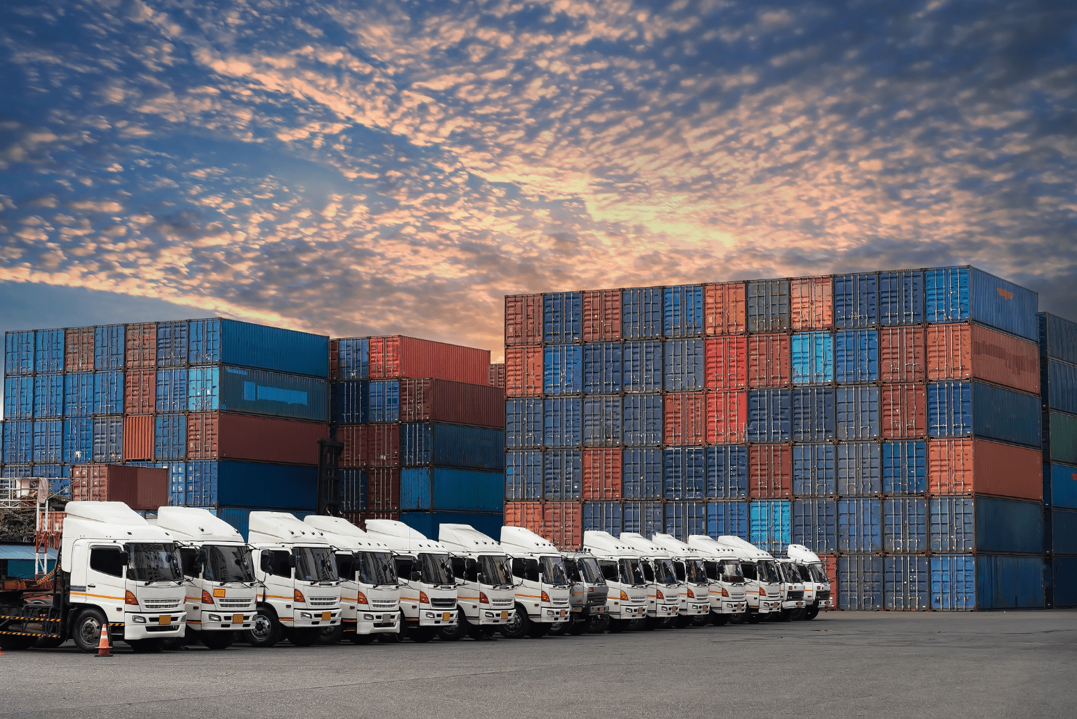 case study for transportation company logistics