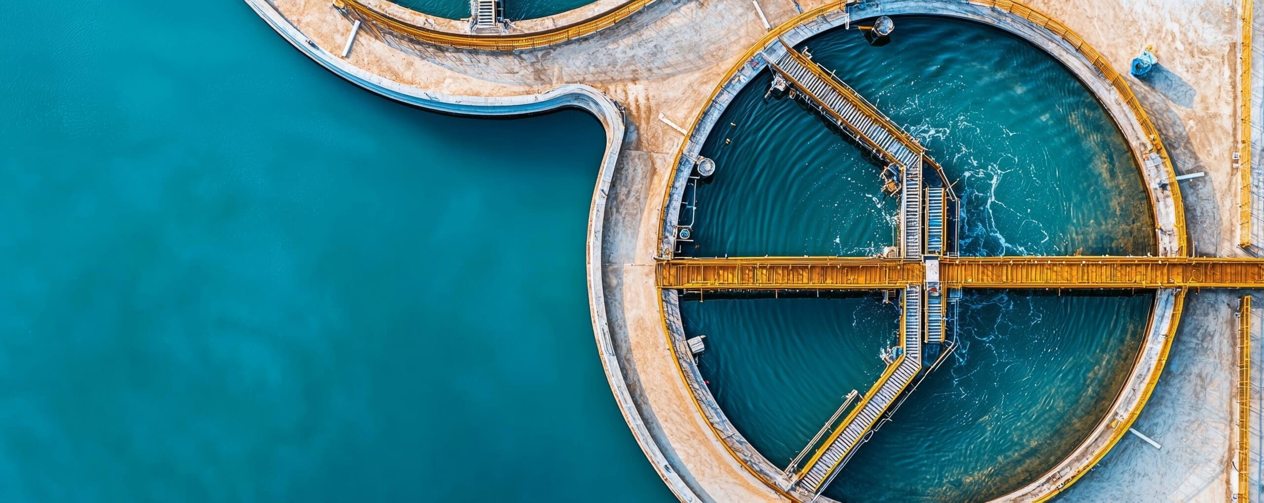 Project professional working on contracts for new mega project